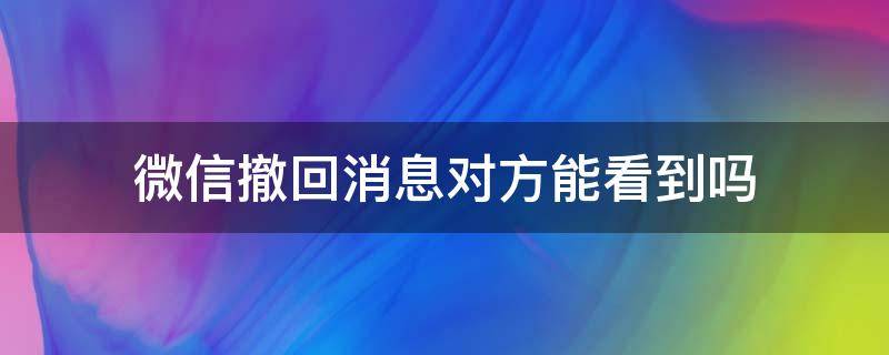 微信撤回消息对方能看到吗（微信撤回消息对方能看到吗 超过一天）