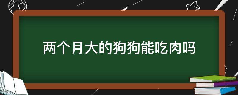 两个月大的狗狗能吃肉吗 两个月的狗狗可以吃肉吗?