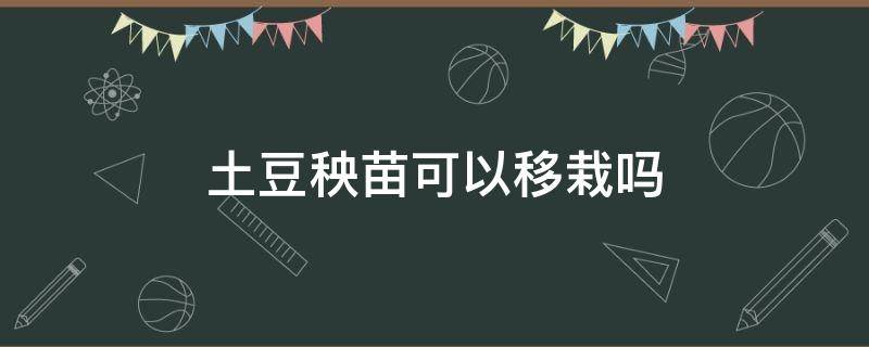 土豆秧苗可以移栽吗 土豆苗能栽吗