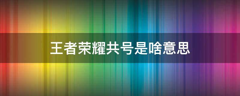 王者荣耀共号是啥意思 王者荣耀共号贴吧