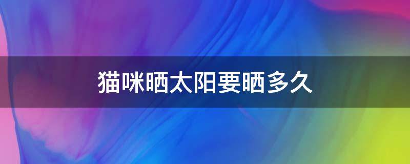 猫咪晒太阳要晒多久 猫咪晒太阳需要晒多久