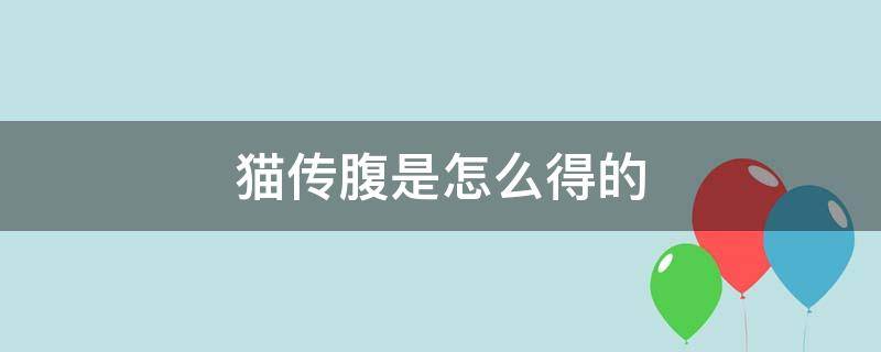 猫传腹是怎么得的（猫传腹是怎么引起的）