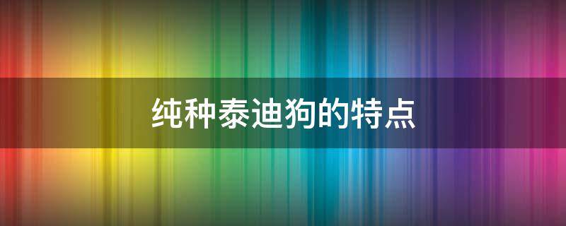 纯种泰迪狗的特点（纯种泰迪犬是什么样的）