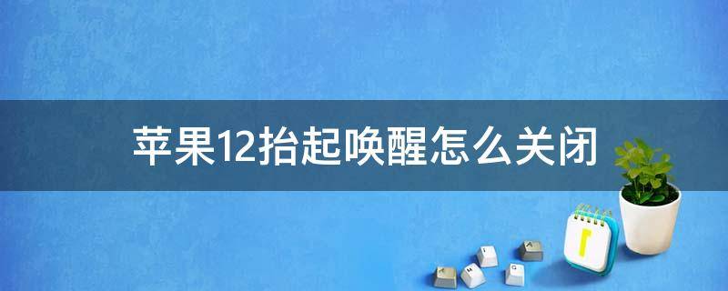 苹果12抬起唤醒怎么关闭 苹果12关闭抬头唤醒