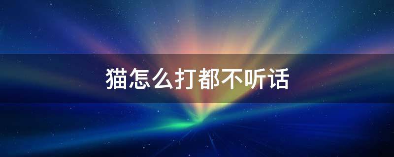 貓?jiān)趺创蚨疾宦?tīng)話（貓咪不聽(tīng)話打了更不聽(tīng)話怎么辦）