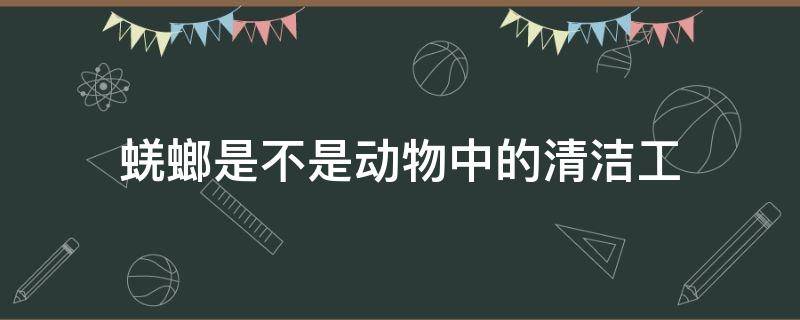 蜣螂是不是动物中的清洁工（蜣螂为什么是清洁工）