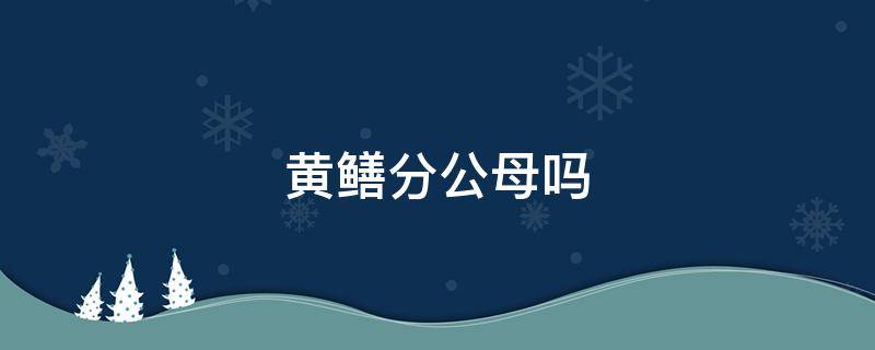 黄鳝分公母吗 黄鳝如何分公母