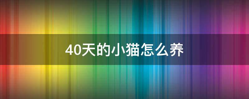 40天的小貓?jiān)趺答B(yǎng)（40天的小貓能養(yǎng)活嗎）