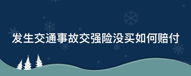 发生交通事故交强险没买如何赔付（交强险没买出了事故）