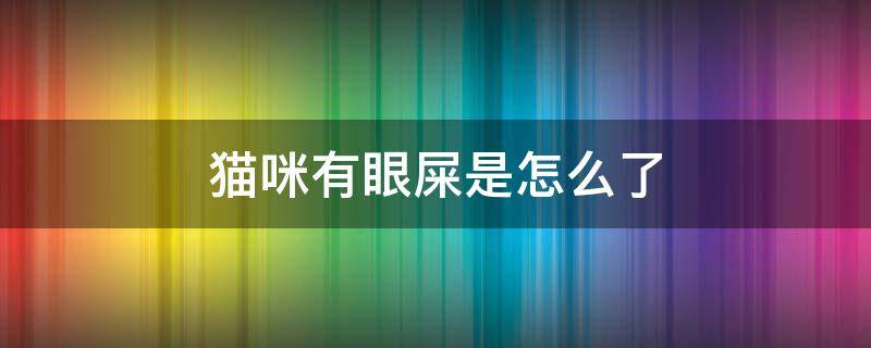 猫咪有眼屎是怎么了 猫咪有眼屎是什么问题