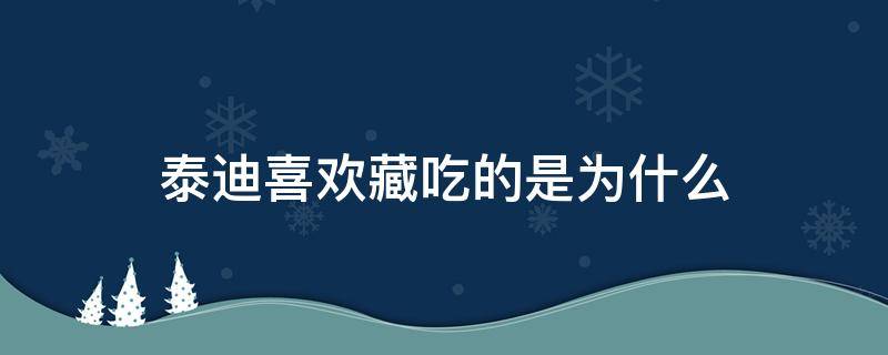 泰迪喜欢藏吃的是为什么（泰迪喜欢把吃的藏起来）