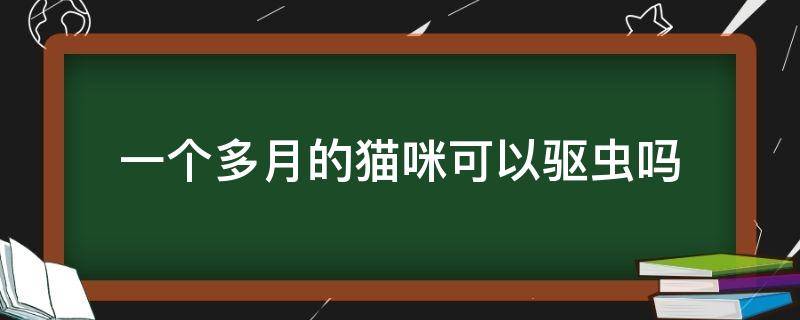 一个多月的猫咪可以驱虫吗 猫咪一个半月可以驱虫吗