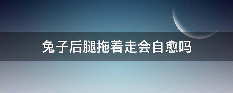 兔子后腿拖着走会自愈吗（兔子后腿抬着走会自愈吗）