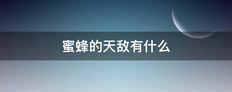 蜜蜂的天敌有什么 什么的天敌是蜜蜂