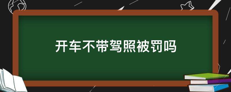 开车不带驾照被罚吗 不带驾驶证会受什么处罚开车