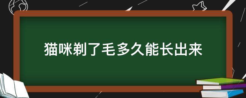 猫咪剃了毛多久能长出来 猫咪的毛剃掉多久能长出来