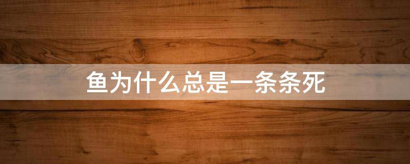 鱼为什么总是一条条死 为什么鱼一条接一条的死