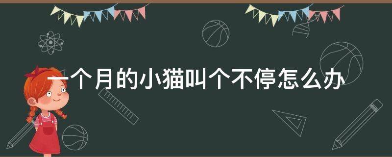 一個月的小貓叫個不停怎么辦 一個月的小貓一直叫怎么辦