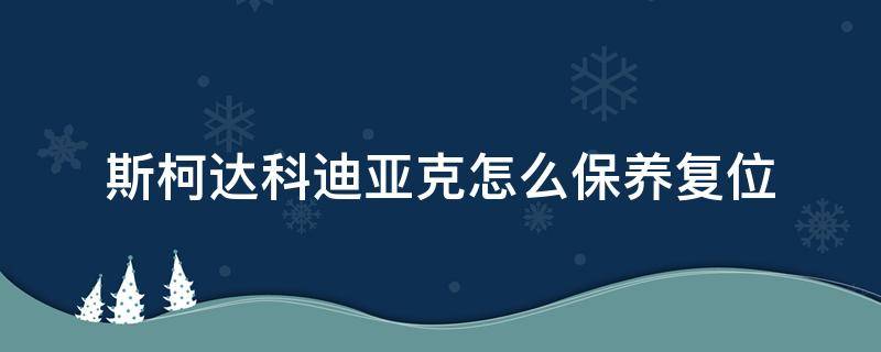 斯柯达科迪亚克怎么保养复位（斯柯达柯迪亚克保养提示怎么消除）