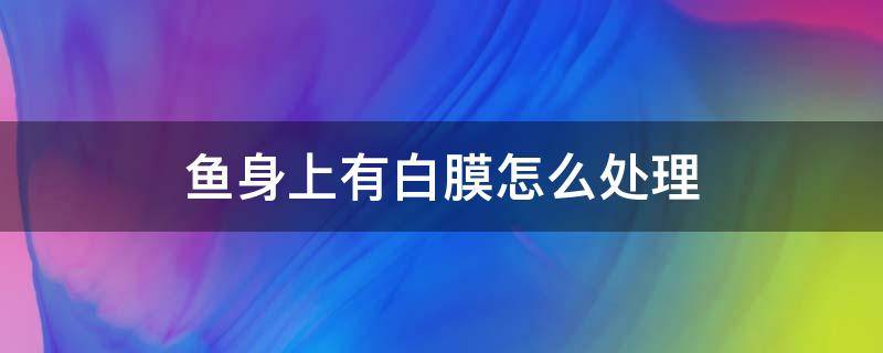 鱼身上有白膜怎么处理 鱼身上长白膜怎么办