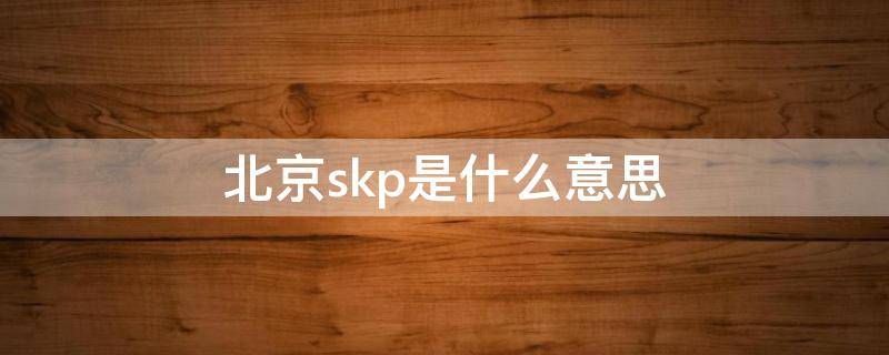 北京skp是什么意思 北京skp为什么叫skp