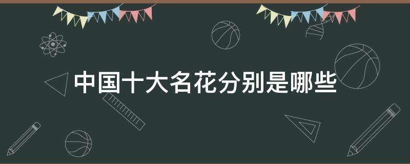 中國十大名花分別是哪些（中國十大名花分別是什么）