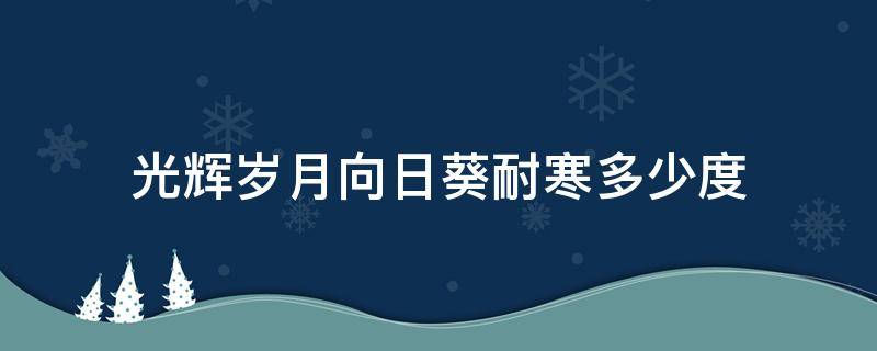 光輝歲月向日葵耐寒多少度（光輝歲月向日葵耐熱嗎）