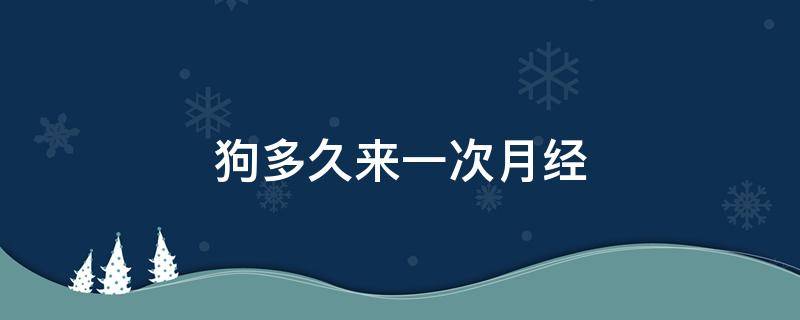 狗多久来一次月经（宠物狗多久来一次月经）