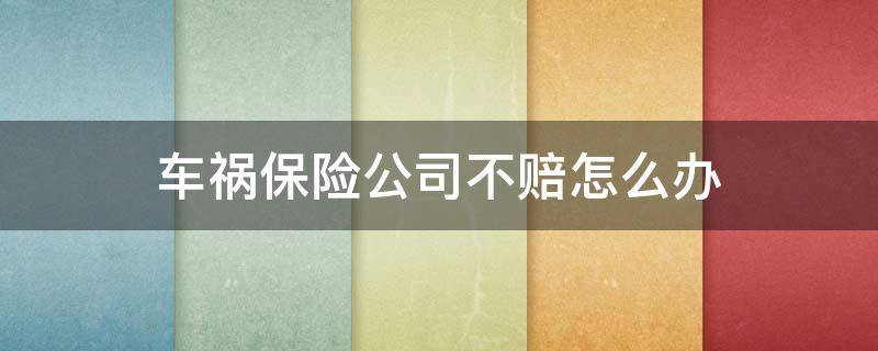 车祸保险公司不赔怎么办（发生车祸什么情况保险公司不赔）