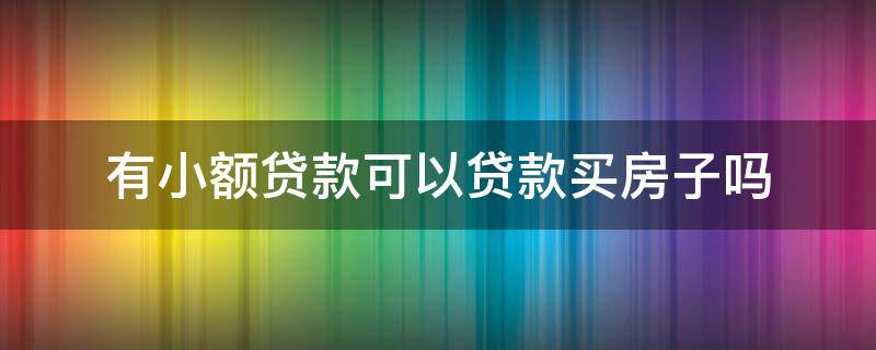 有小額貸款可以貸款買房子嗎 有小額貸款的房子能買嗎