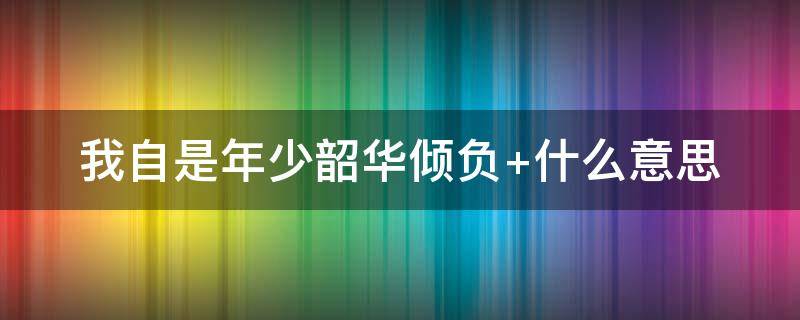 我自是年少韶华倾负 我自是年少韶华倾负全诗