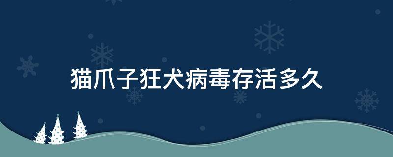 猫爪子狂犬病毒存活多久（猫爪上的狂犬病毒能活多久）