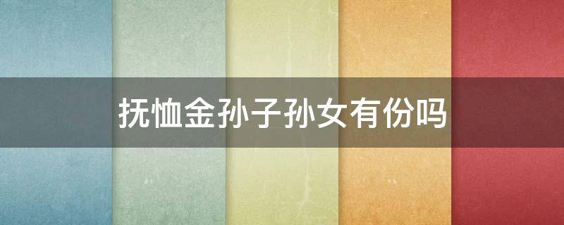 抚恤金孙子孙女有份吗 抚恤金可以分给儿子和孙子吗?