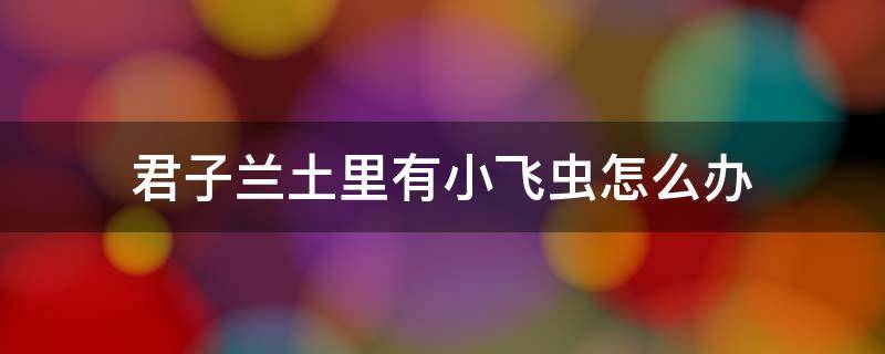 君子蘭土里有小飛蟲怎么辦 君子蘭土里有飛蟲子怎么辦