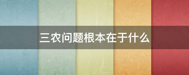 三农问题根本在于什么 三农问题关键在于