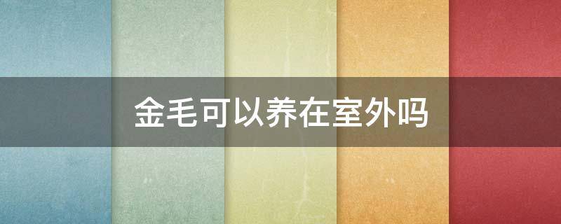 金毛可以养在室外吗（金毛在室内养还是室外养）