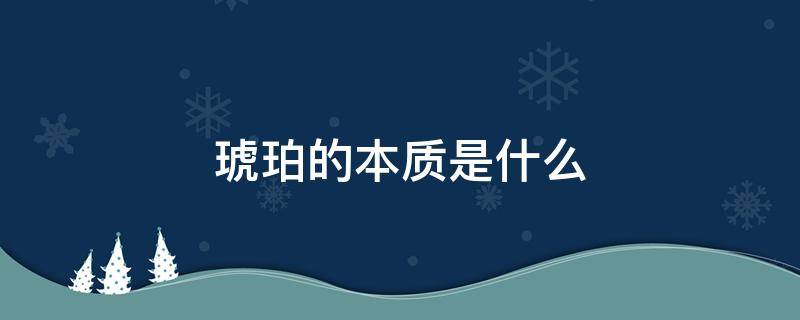 琥珀的本质是什么 琥珀的本质是什么琥珀是怎样形成的