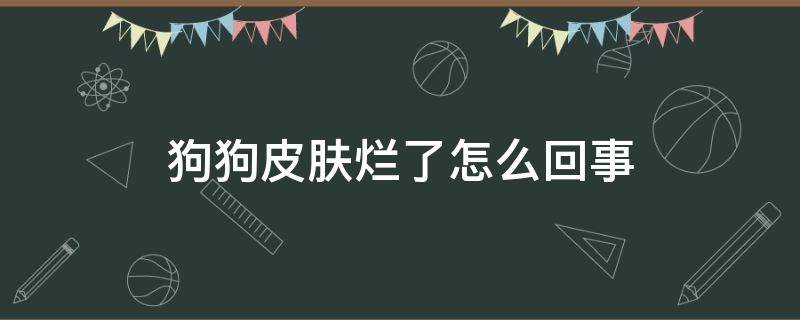 狗狗皮肤烂了怎么回事 狗狗皮肤烂了怎么办