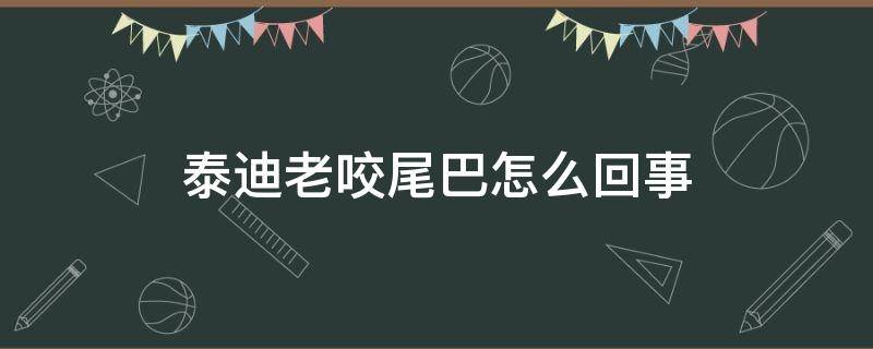 泰迪老咬尾巴怎么回事 泰迪咬尾巴是怎么回事