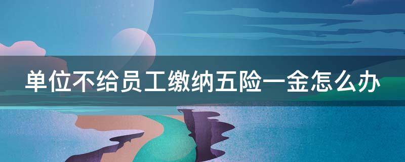 单位不给员工缴纳五险一金怎么办 单位不给员工交五险一金违法吗