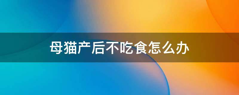 母猫产后不吃食怎么办（母猫产后不吃东西）