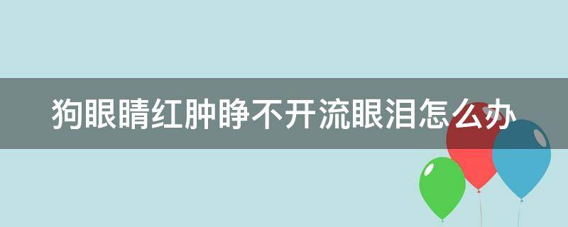 狗眼睛红肿睁不开流眼泪怎么办 狗眼睛红肿睁不开流眼泪怎么办吃什么药