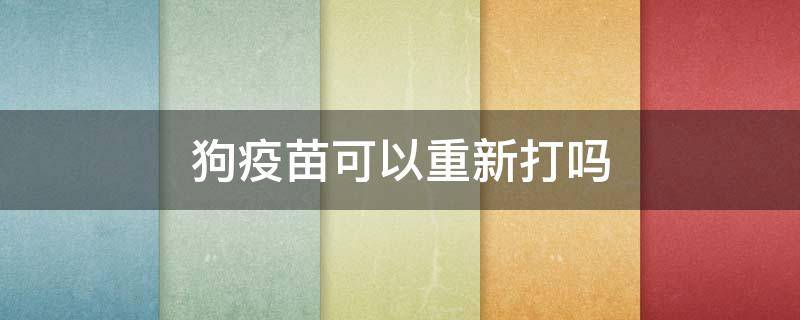 狗疫苗可以重新打吗 狗狗不知道有没有打疫苗能不能重打