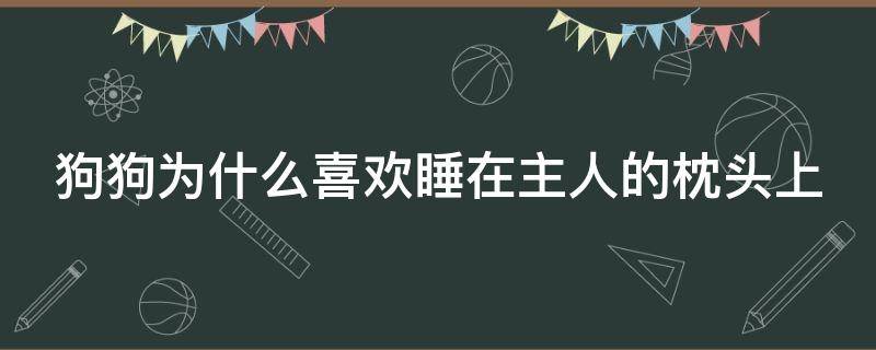 狗狗为什么喜欢睡在主人的枕头上 狗为什么喜欢睡在主人枕头旁边