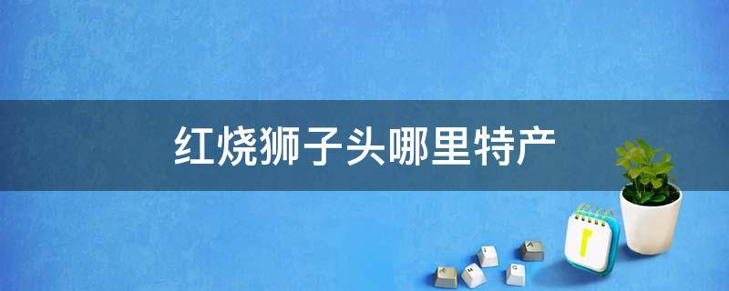 红烧狮子头哪里特产 红烧狮子头是哪里的名吃