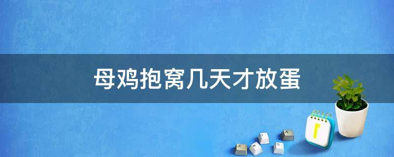 母鸡抱窝几天才放蛋 母鸡抱窝一天放蛋能一天出吗