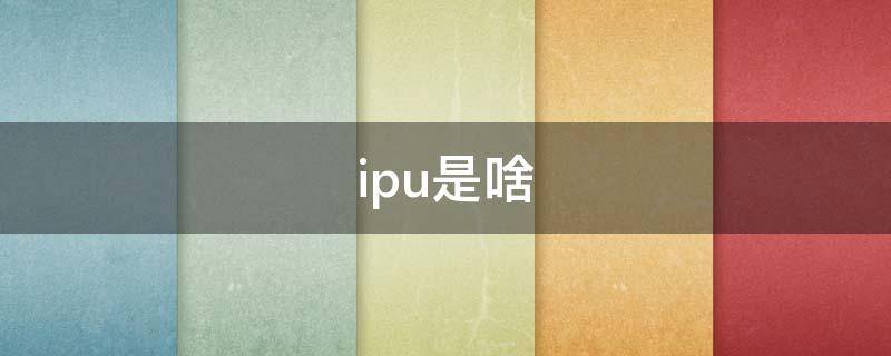 ipu是啥 ipu是什么