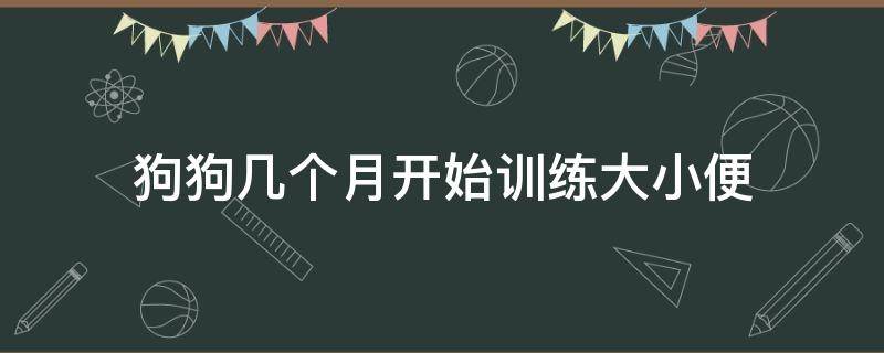 狗狗几个月开始训练大小便 幼犬几个月训练大小便