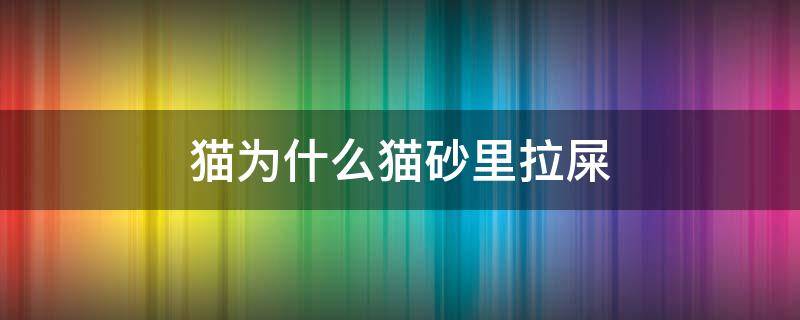 貓為什么貓砂里拉屎 貓咪為什么喜歡在貓砂里拉屎