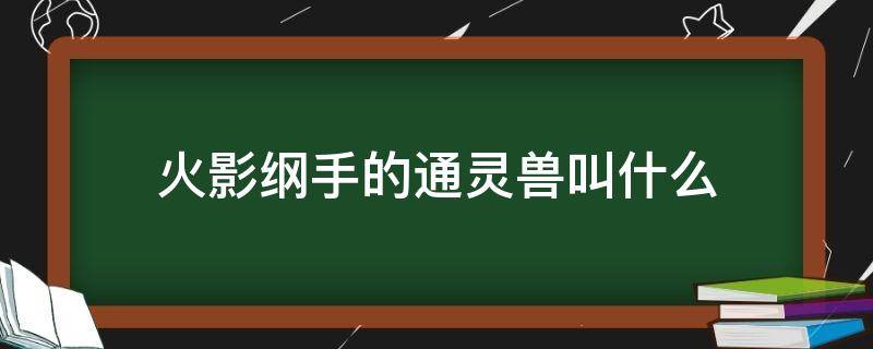 火影纲手的通灵兽叫什么 火影忍者纲手通灵兽蛞蝓到底有多大